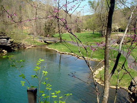 dogwood-canyon.jpg
