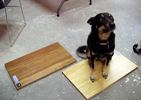 floor2.jpg