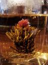 tea_blossom.jpg