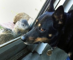 thumbnail_3rika