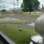 groundhog-7